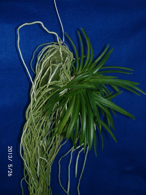 �w�S��������