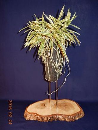 �x�M���@�w�S����