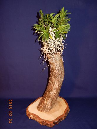 �x�M���@�w�S����