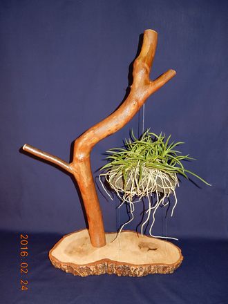 �x�M���@�w�S����