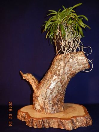 �x�M���@�w�S����