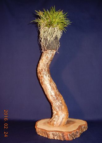 �x�M���@�w�S����