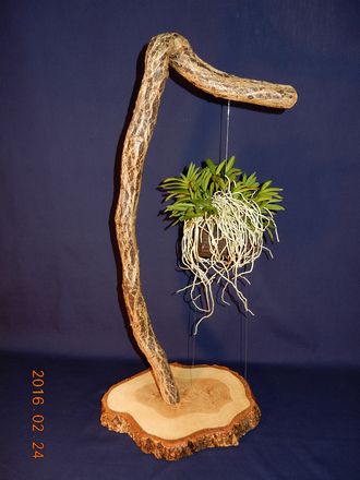 �x�M���@�w�S����