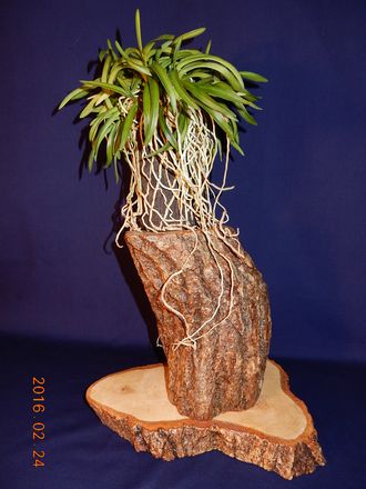 �x�M���@�w�S����