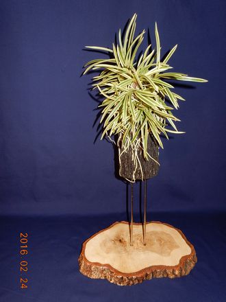 �x�M���@�w�S����