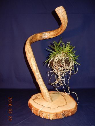 �x�M���@�w�S����