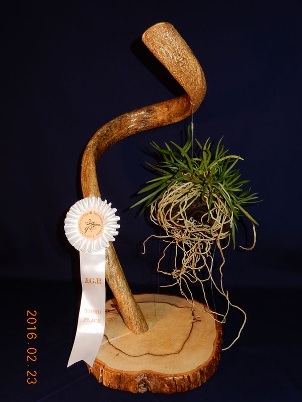 �x�M���w�S����