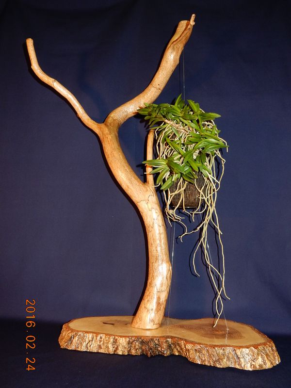 �x�M���w�S����