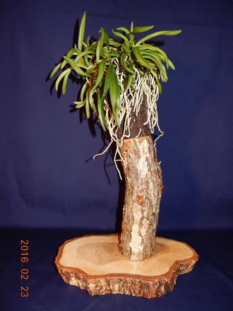 �x�M���@�w�S����