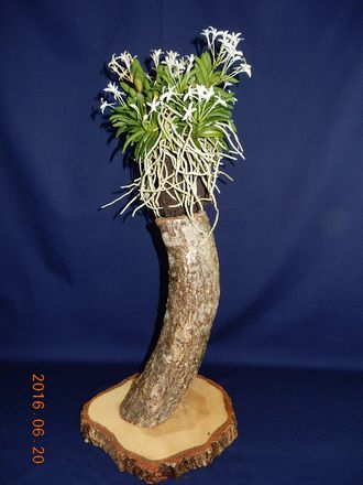 �x�M���@�w�S����