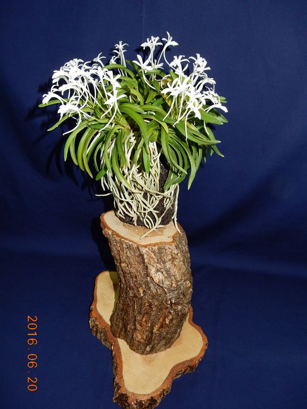 �x�M���w�S����