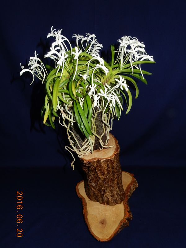 �x�M���w�S����