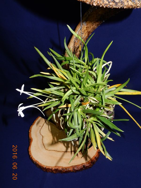 �x�M���w�S����