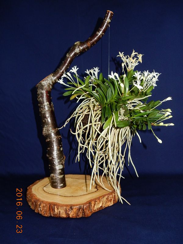 �x�M���w�S����