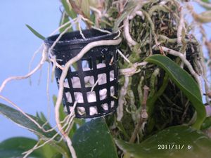 �~�j�J�g���A//�w�S����