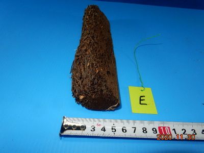 �t�E�������ؒ���