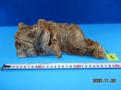 �t�E�������ؒ���