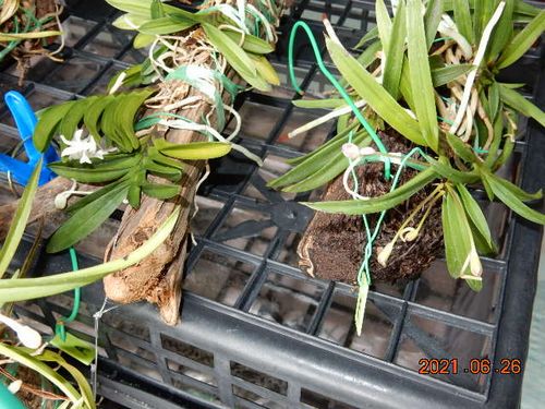 �t�E�������ؒ���