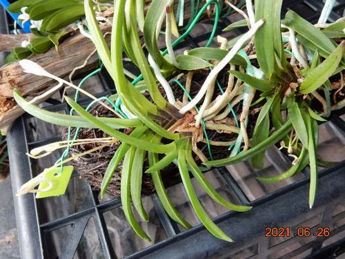 �t�E�������ؒ���